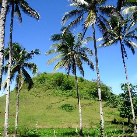 Bohol Sweet Home Bed And Breakfast Guindulman Exteriör bild