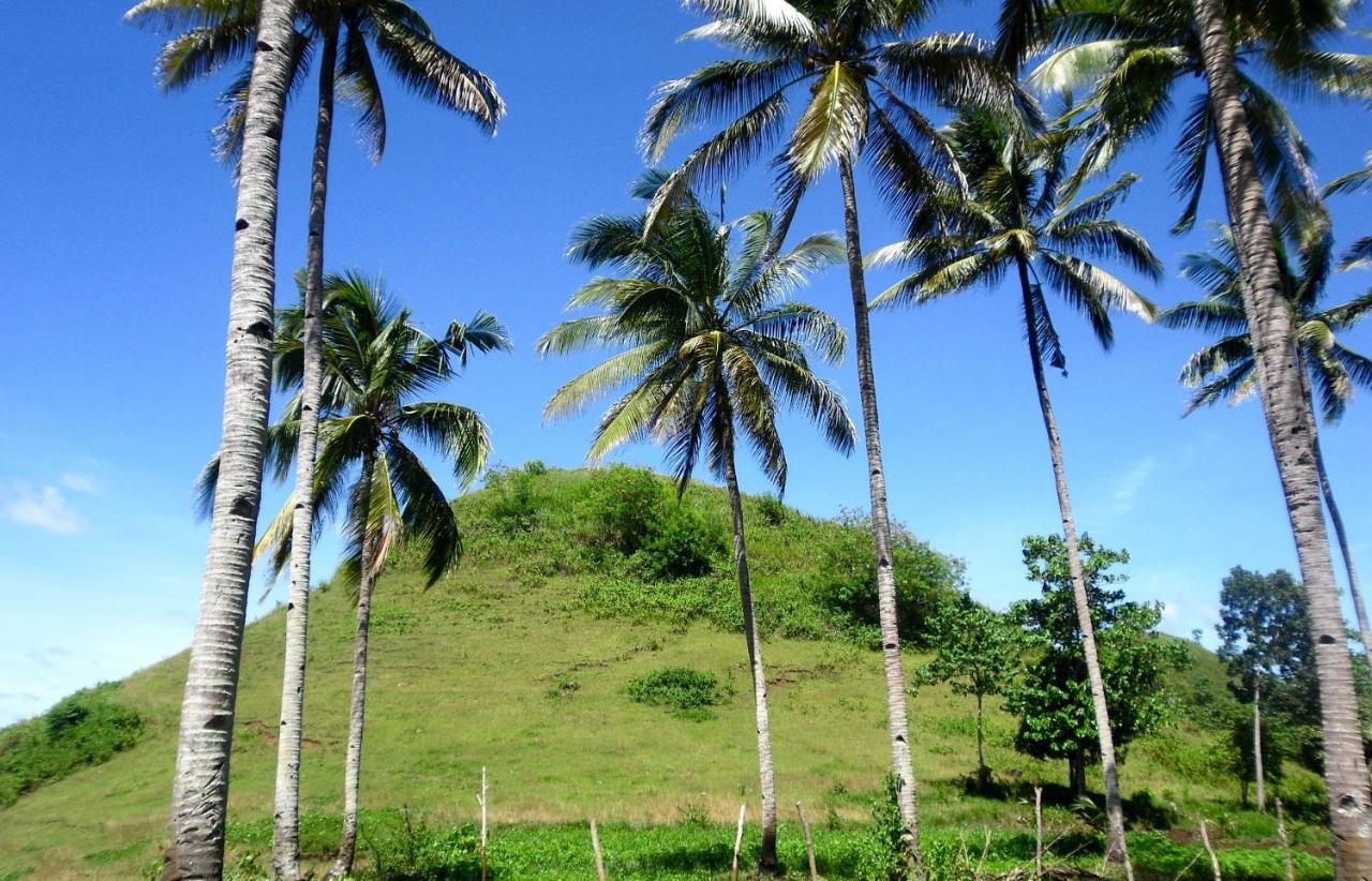 Bohol Sweet Home Bed And Breakfast Guindulman Exteriör bild